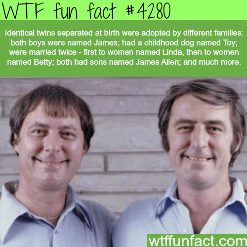 Identical twins facts -  WTF fun facts