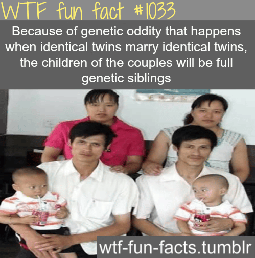 identical twins marry identical twins