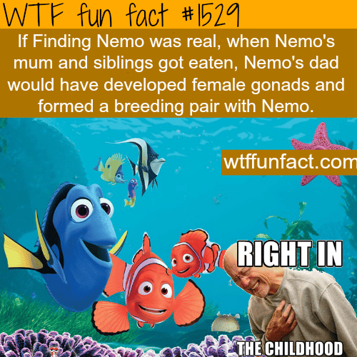 if movies were real. wtf fun facts