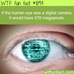 if the human eye was a digital camera