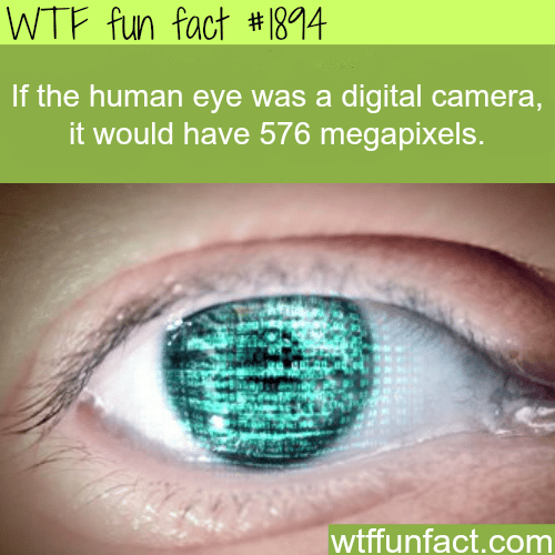 If the human eye was a digital camera - WTF fun facts