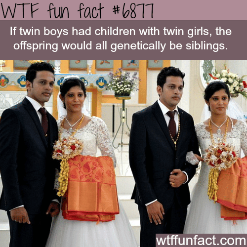 If twin boys had children with twin girls - WTF fun fact