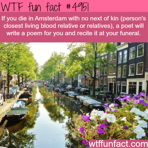 If you die Amsterdam with no relatives - WTF fun facts