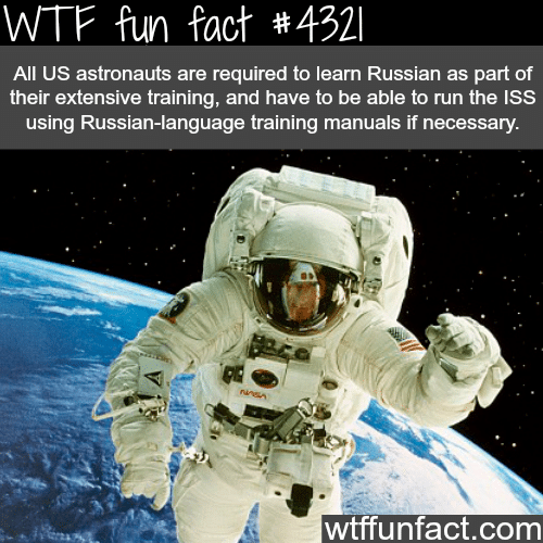 If you want to be an astronauts