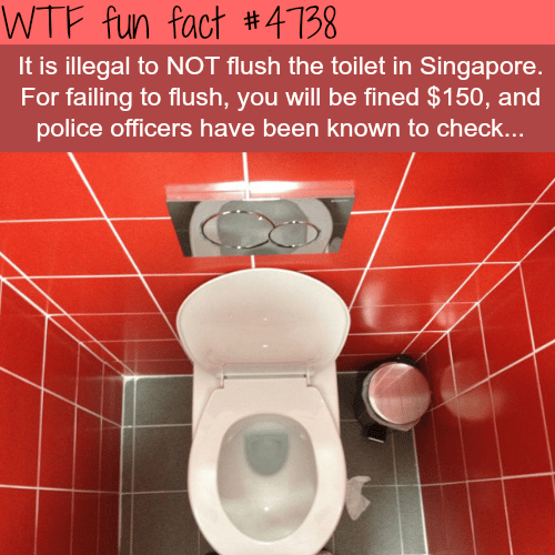 Illegal things not to do in Singapore - WTF fun facts