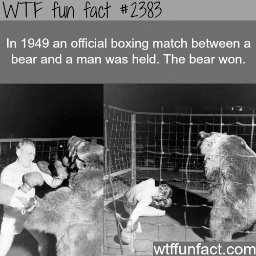 In 1949 an official boxing match - WTF fun facts