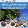 in 2013 police in the maldives arrested a coconut