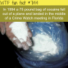 in florida cocaine falls from the sky wtf fun