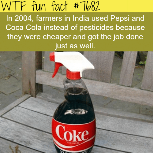 Indian farmers used Pepsi instead of pesticides - WTF fun fact