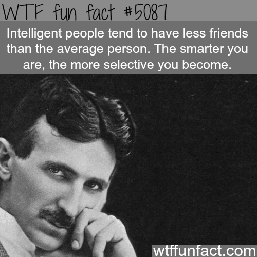 Intelligent people have less friends - WTF fun facts