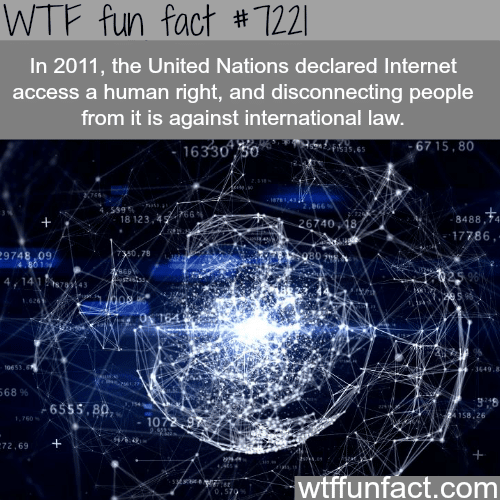 Internet access is a human right - WTF Fun Fact