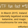 ireland made ecstasy and mushroom legal wtf fun