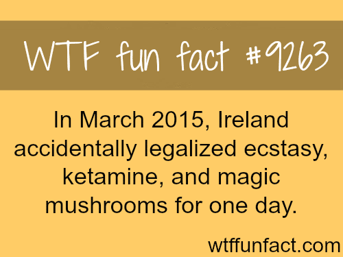 Ireland Made Ecstasy and Mushroom Legal - WTF fun fact