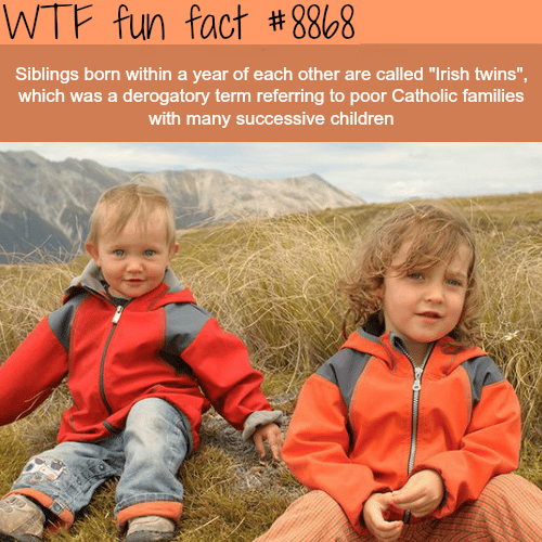 Irish Twins - WTF fun facts 