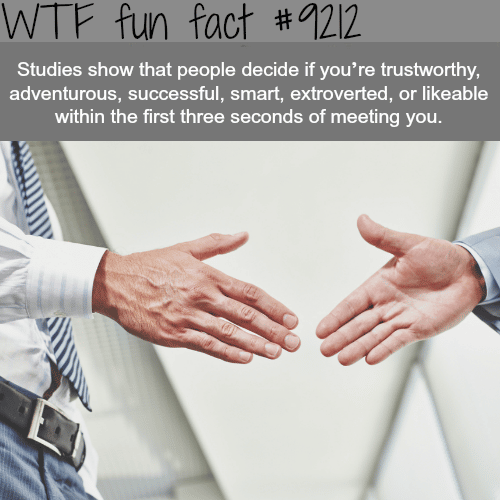 It only takes a few seconds for people to like you - WTF Fun Fact