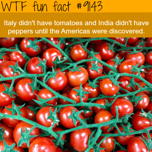 Italy didn’t have tomatoes until America was discovered - WTF Fun Facts