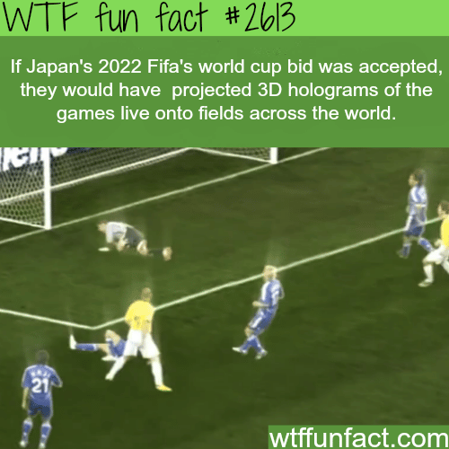 Japan’s 2022 Fifa’s world cup bid - WTF fun facts