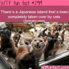japanese island full of cats