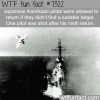 japanese kamikaze wtf fun fact