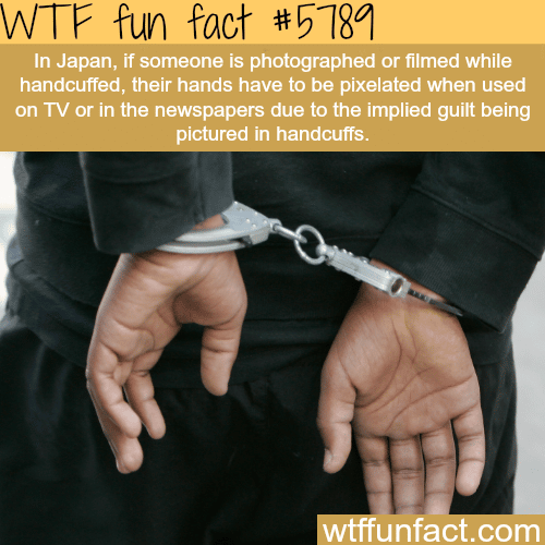 WTF Facts - Page 613 of 1304 - Funny, interesting, and weird facts