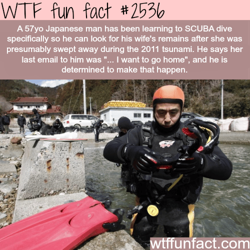 Japanese man learns SKUBA to find his dead wife - WTF fun facts