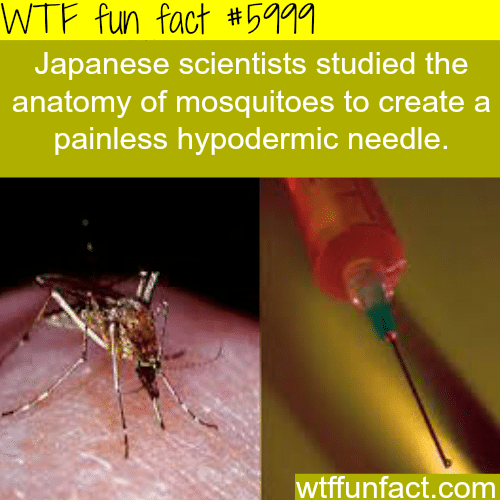 Japanese scientist create a painless needle - WTF fun facts