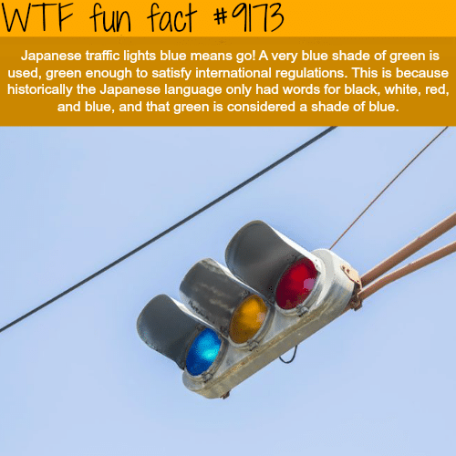 Japan’s traffic lights - WTF Fun Facts