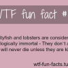jellyfish and lobsters more of wtf fun facts are