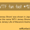 jersey shore aired in japan wtf fun facts