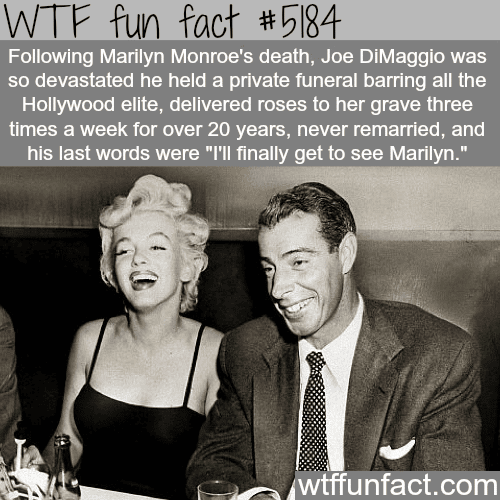 Joe DiMaggio and Marilyn Monroe - WTF fun facts