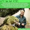 kakapo wtf fun facts