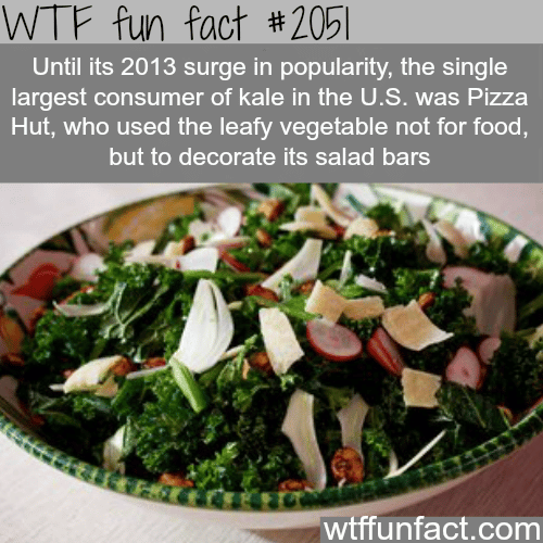 Kale - WTF fun facts