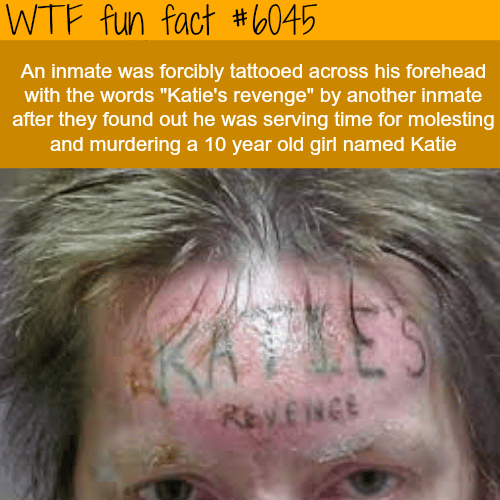 Katie’s revenge - WTF fun facts