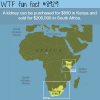 kidney prices in kenya wtf fun facts
