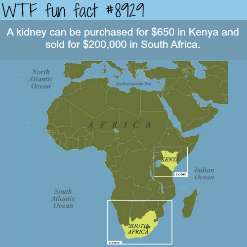 Kidney prices in Kenya - WTF fun facts