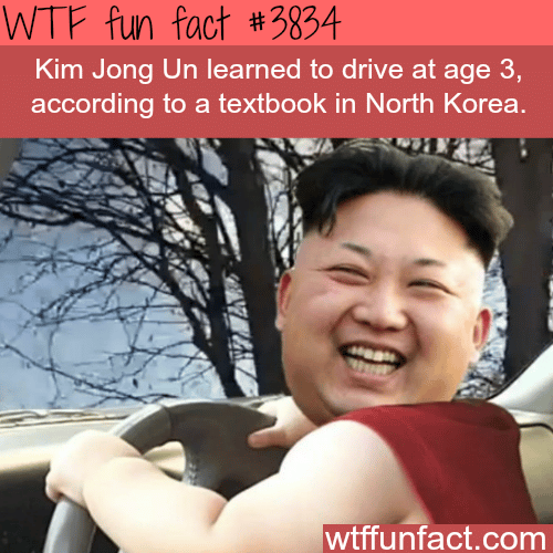 Kim Jong Un - WTF fun facts 