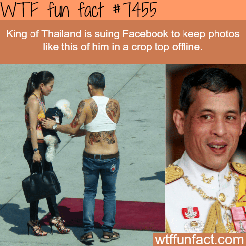 King of Thailand in crop top - Facts