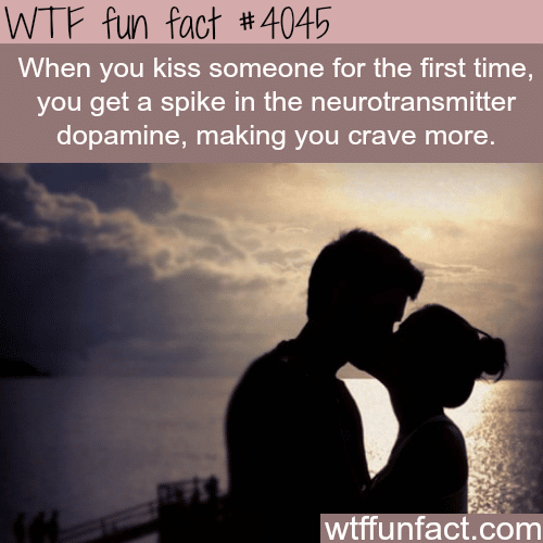 Kissing for the first time - WTF fun facts