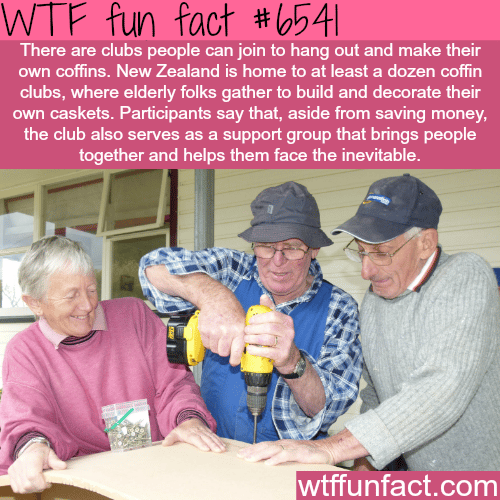 kiwi coffin club - WTF fun facts