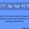 koreans dont need to use deodorant wtf fun