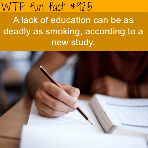 Lack of Education - WTF Fun Fact