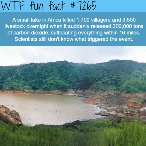 Lake in Africa that killed a whole village and all animals around it - WTF fun fact