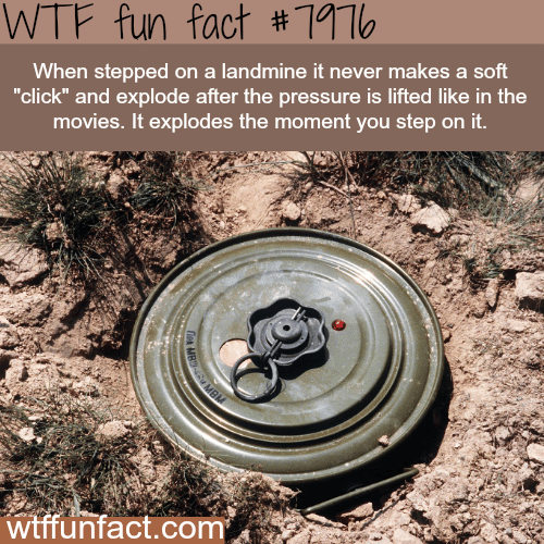 Landmines - WTF fun fact