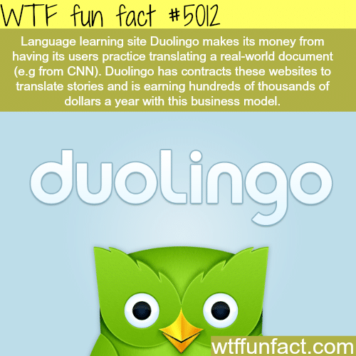 Language learning website - WTF fun facts