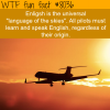 language of the skies wtf fun fact