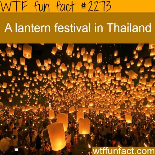 Lantern festival in Thailand - WTF fun facts