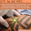 laser tattoo removal wtf fun facts