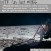 last words on the moon wtf fun facts