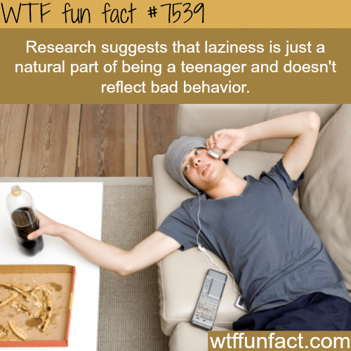 Lazy teenagers - WTF fun facts