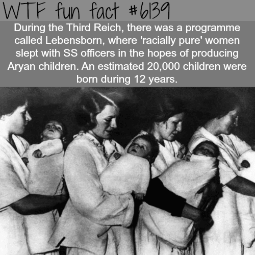 Lebenstorn - WTF fun facts